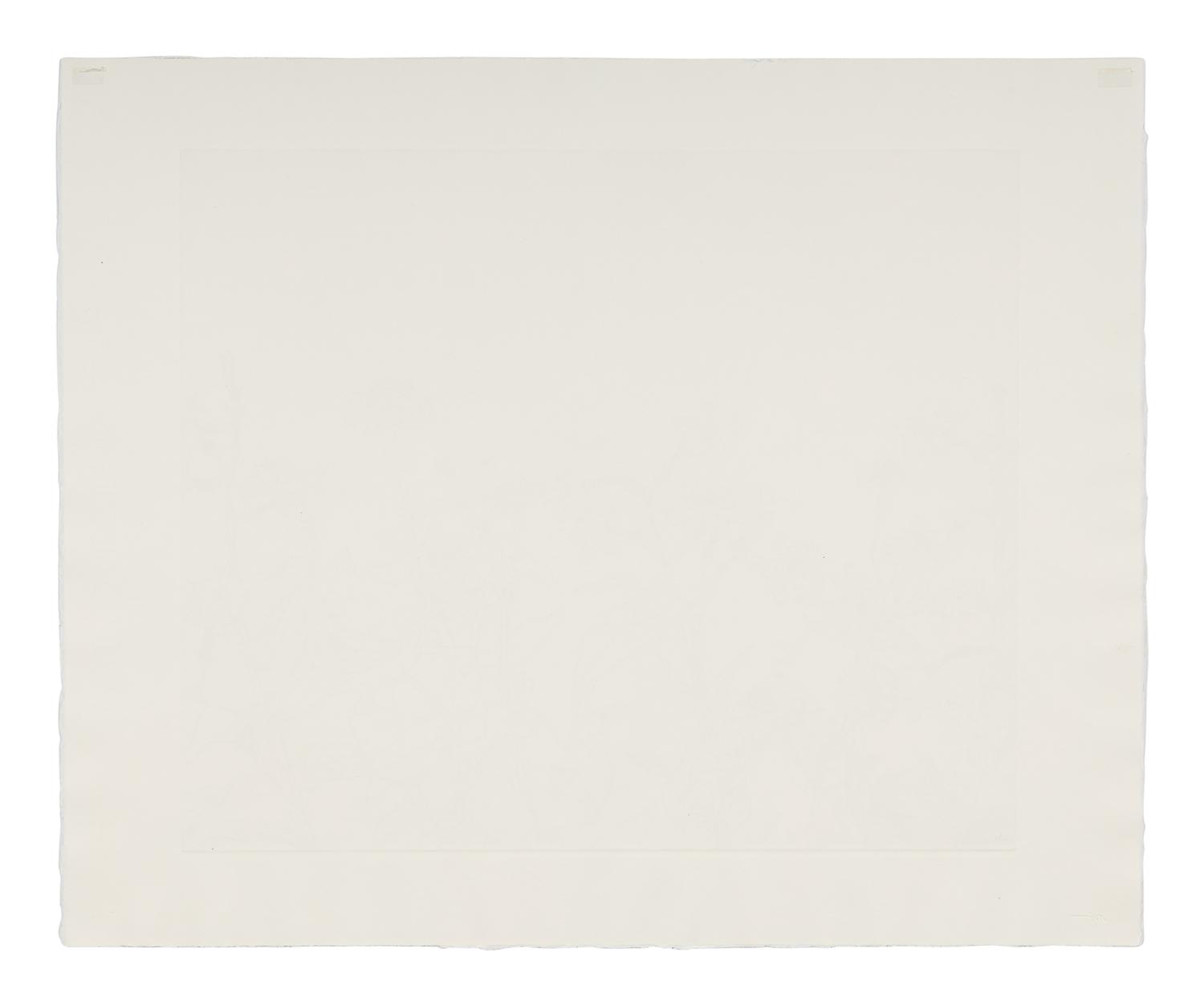 Untitled from Flowers Suite , 1979