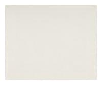 Untitled from Flowers Suite , 1979