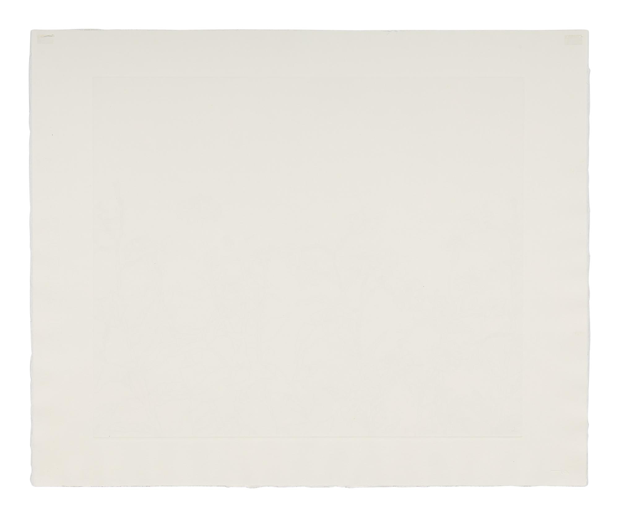 Untitled from Flowers Suite , 1979