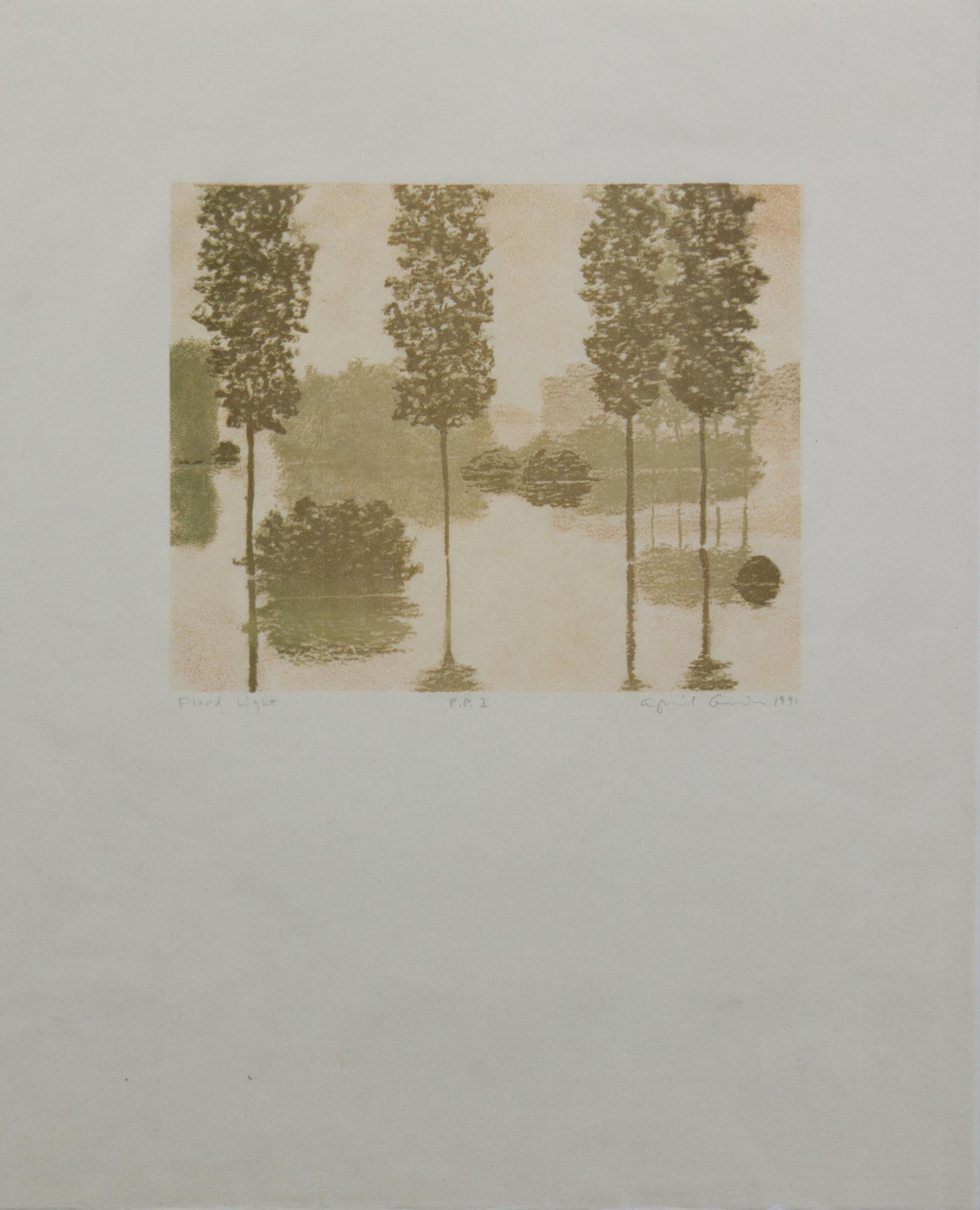 April Gornik, (American, b. 1953), Flood Light from Art Pro Choice II, 1991
