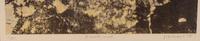 Ground Soil ( Dispositif au sol ) (from Clean Slates ( Tables rases ) from Phenomena ( Les Phénomènes) ), 1958