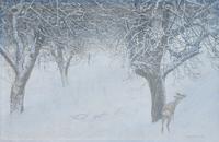 Old Orchard and Roe Deer
