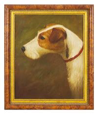 Fox Terrier Head Study, 1905