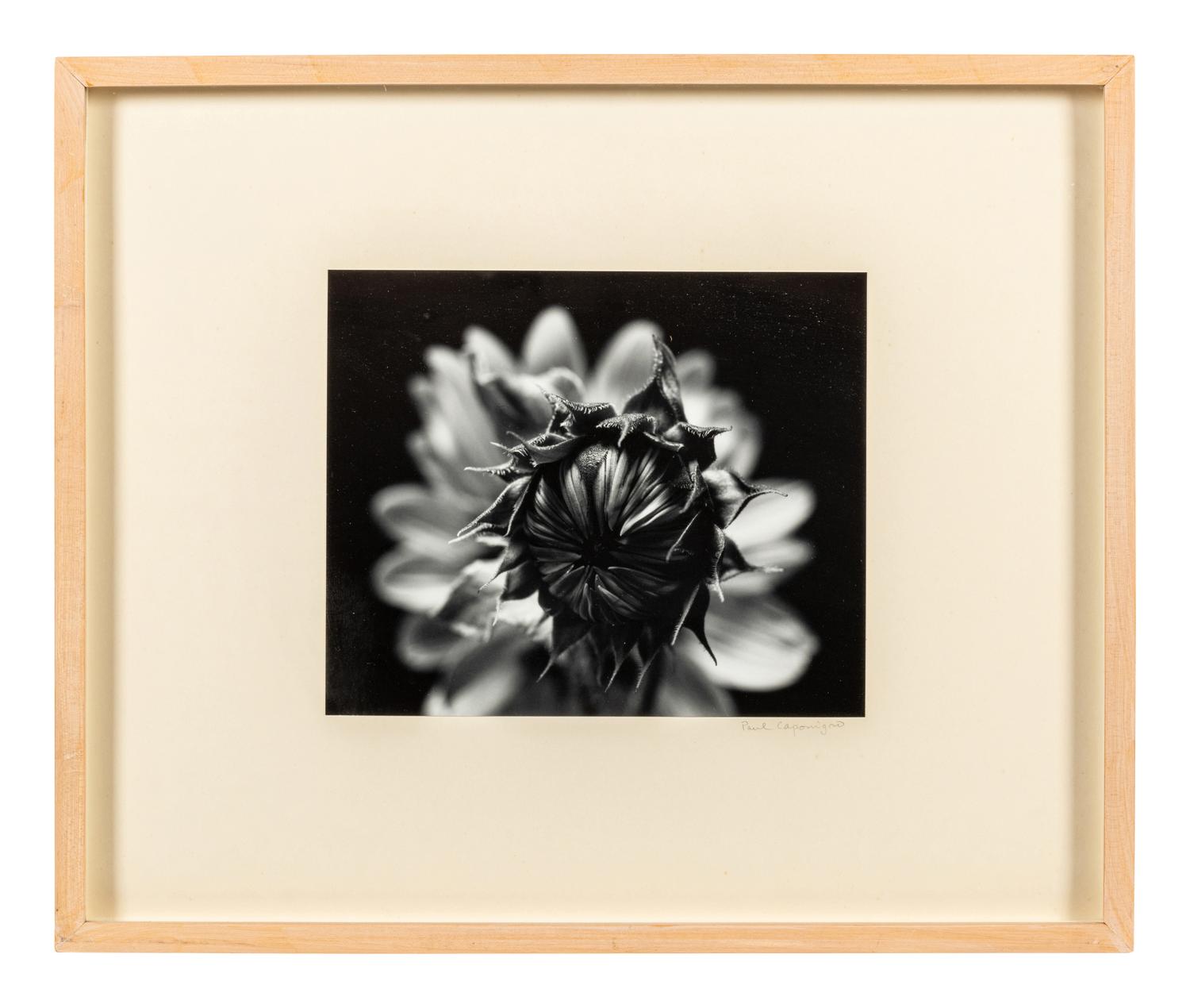 Paul Caponigro (born 1932) Winthrop, Massachusetts, 1965