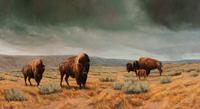 Green Pastures