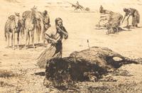 After the Buffalo Hunt