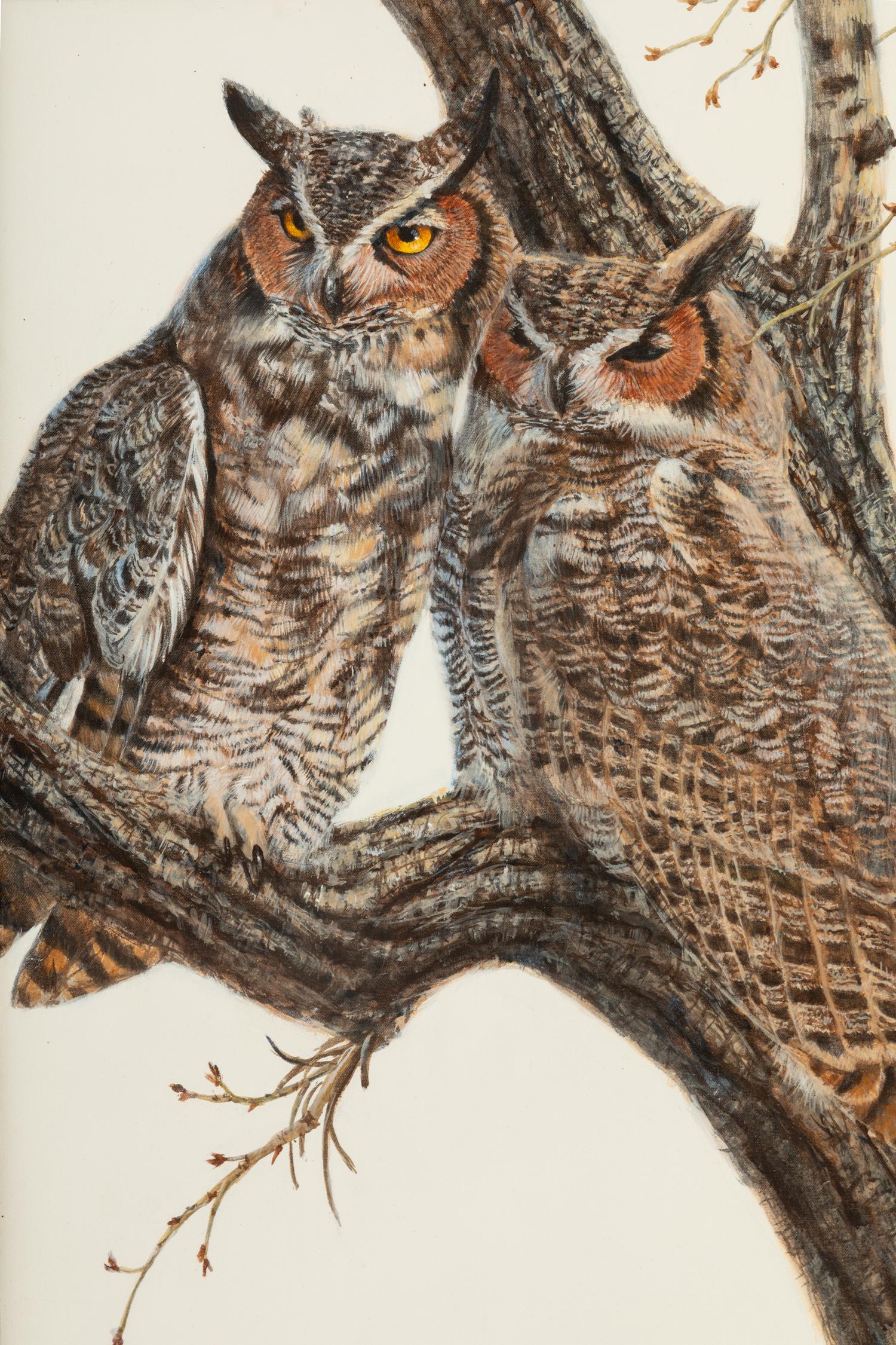 Horned Owl , 1980