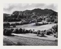 Eel River Ranch , 1937; printed later by Cole Weston
