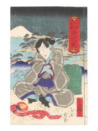 15 Illustrated Books and Loose Leaves