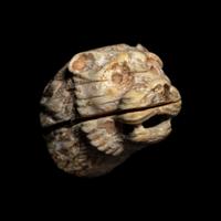 An Egyptian Bone Head of a Lion