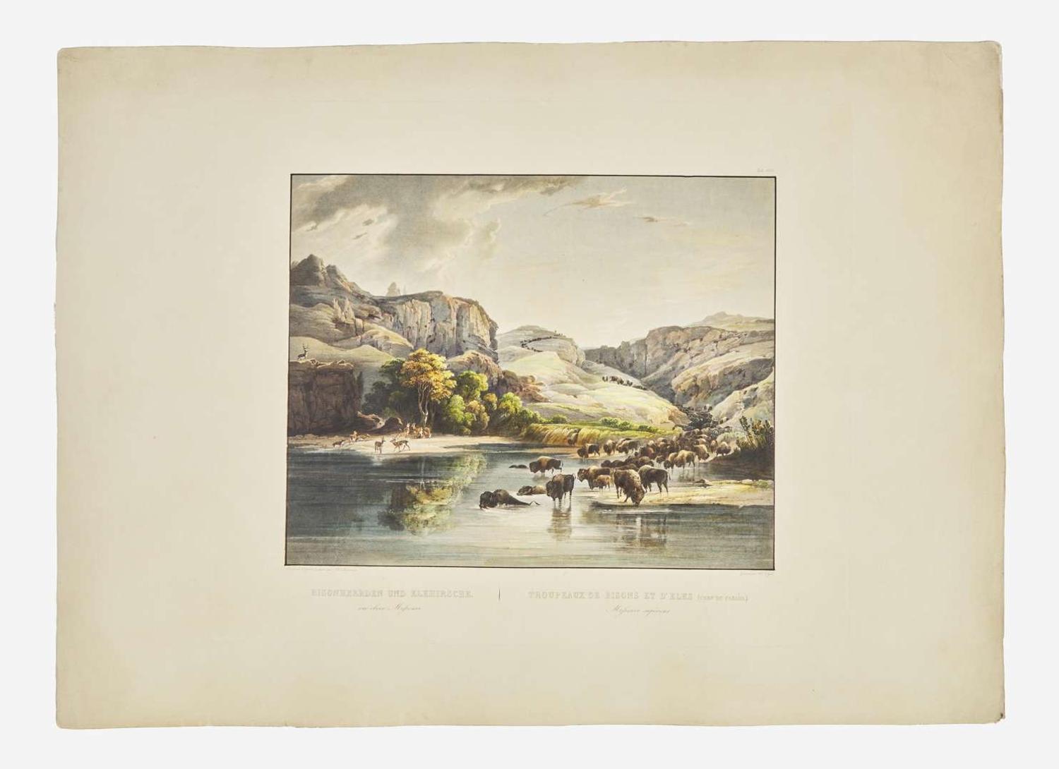 [Native-Americana] Bodmer, Karl: Bisonheerden und Elkhirsche…Tropeaux de Bisons et D'Elks