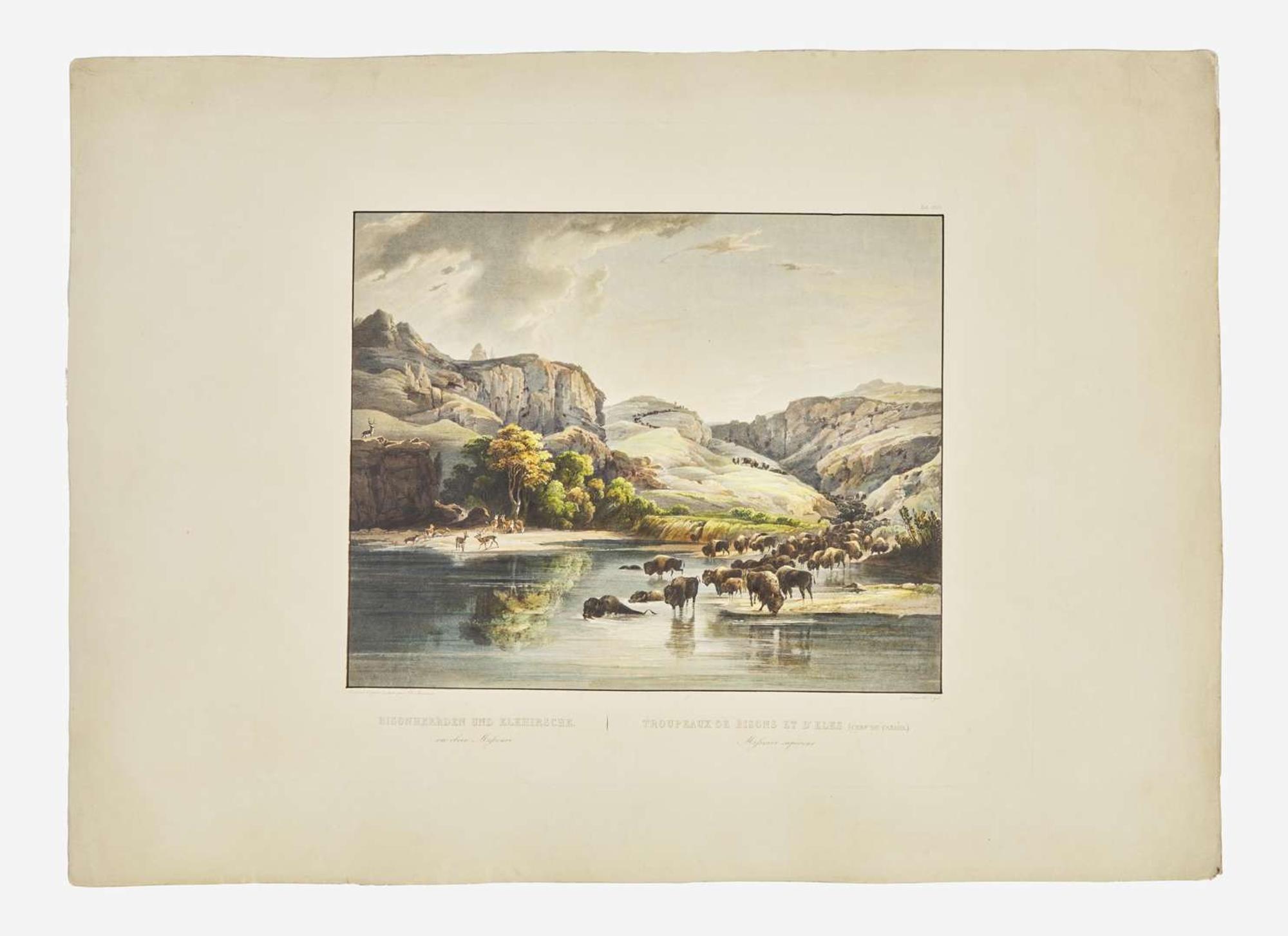 [Native-Americana] Bodmer, Karl: Bisonheerden und Elkhirsche…Tropeaux de Bisons et D'Elks