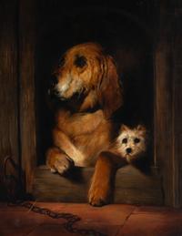 Dignity and Impudence