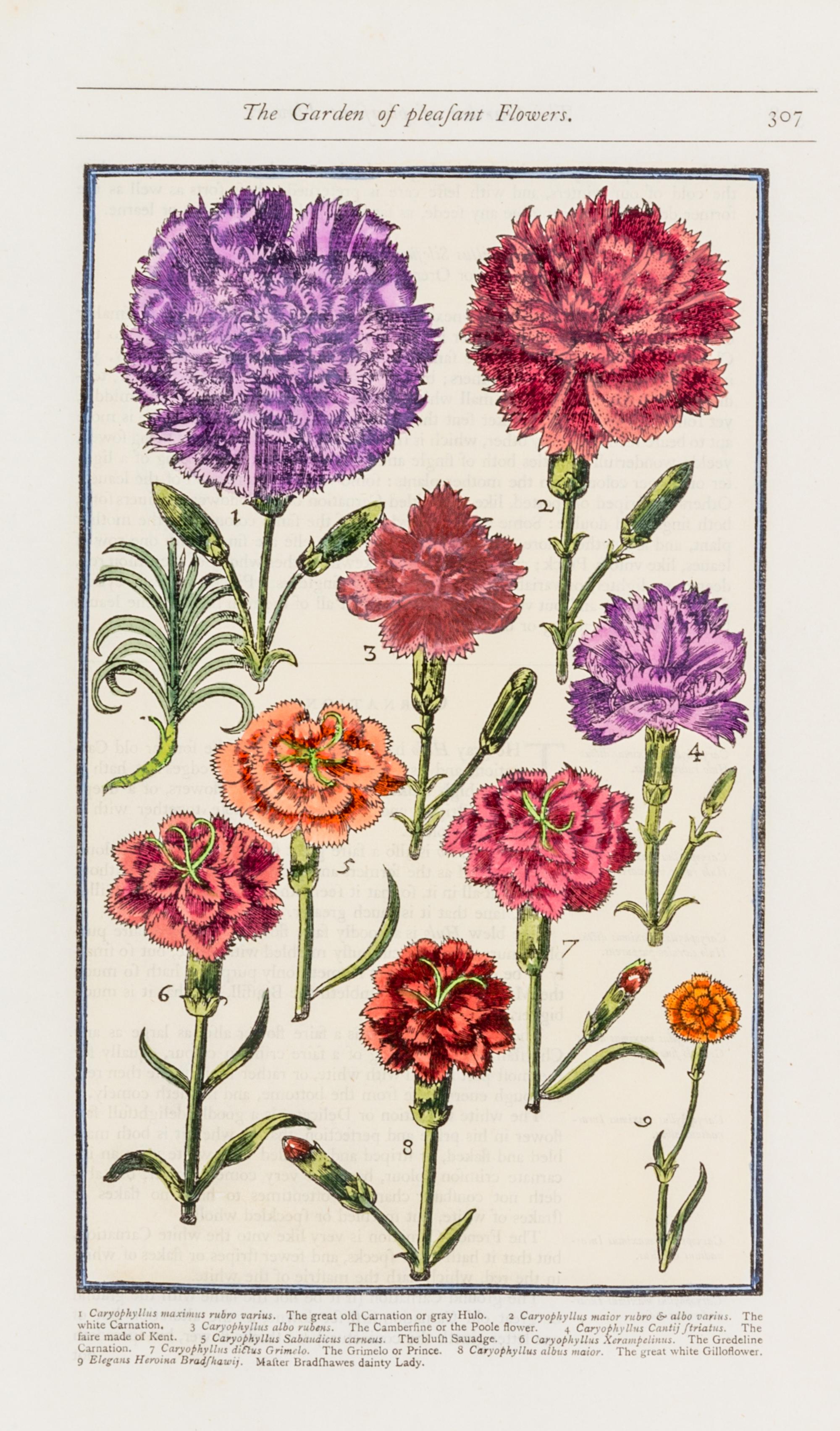 PARKINSON, JOHN. Group of eight handcolored facsimile etchings. (1910).