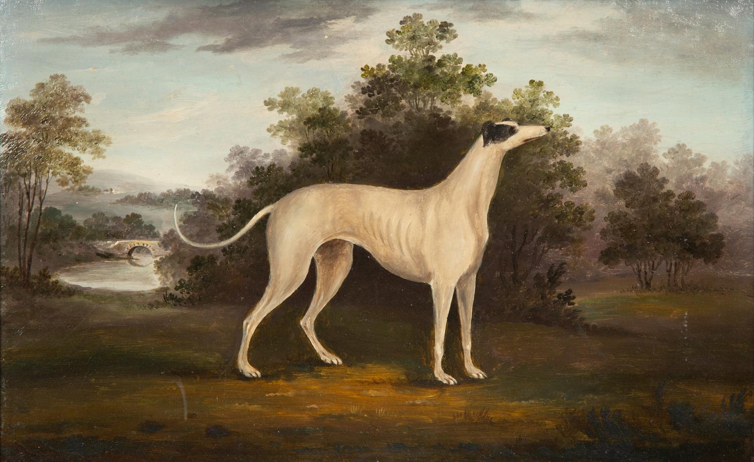 Greyhound in a Landscape