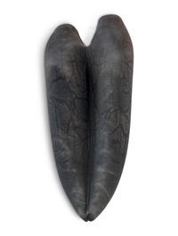 Monster Tongue , 1998