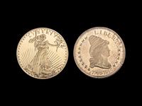 [PRIVATE ISSUE] Two 1/2-Pound Gold-Plated Silver Rounds