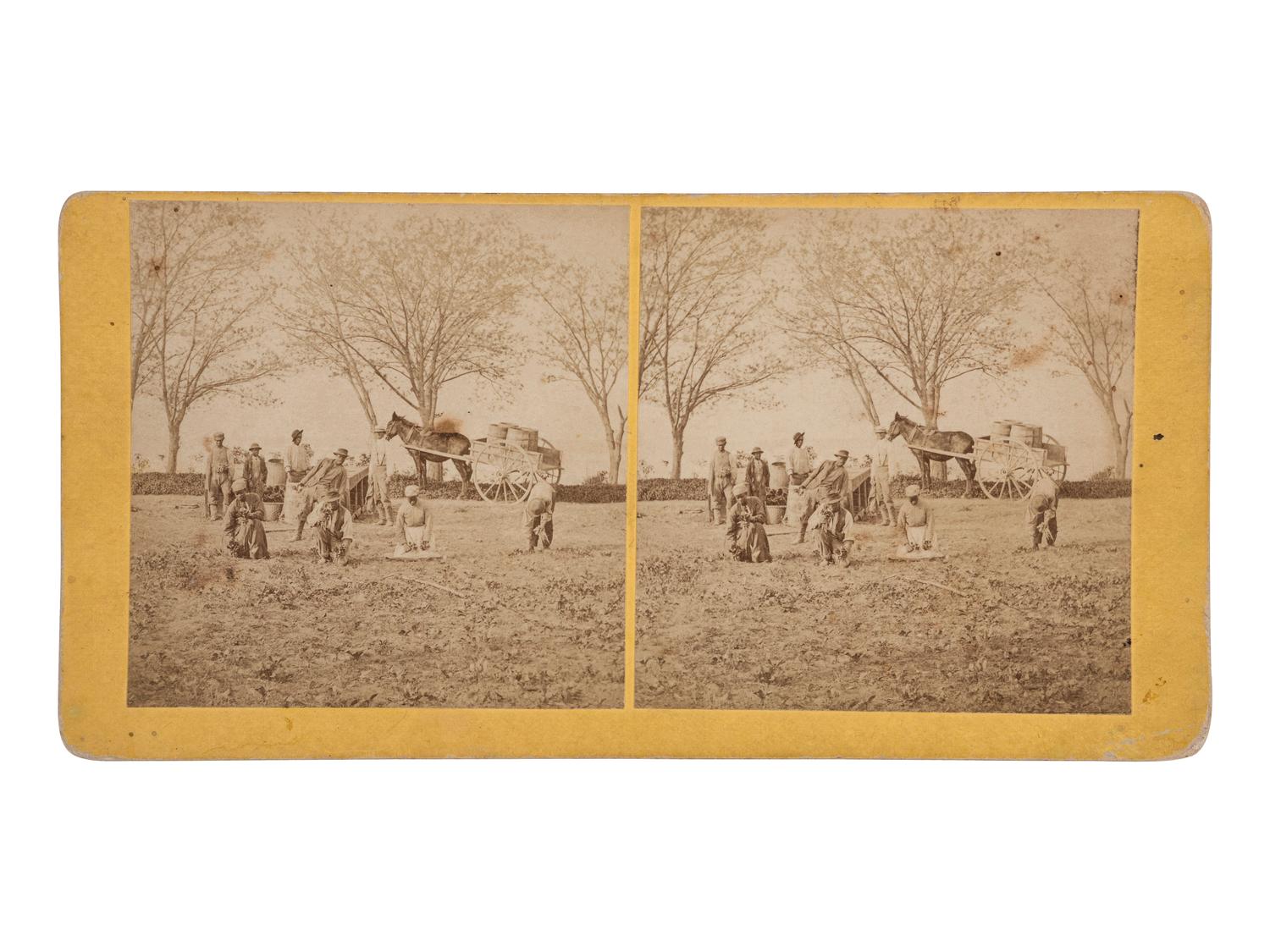 [AFRICAN AMERICANA - EARLY PHOTOGRAPHY]. Stereoview of a plantation.