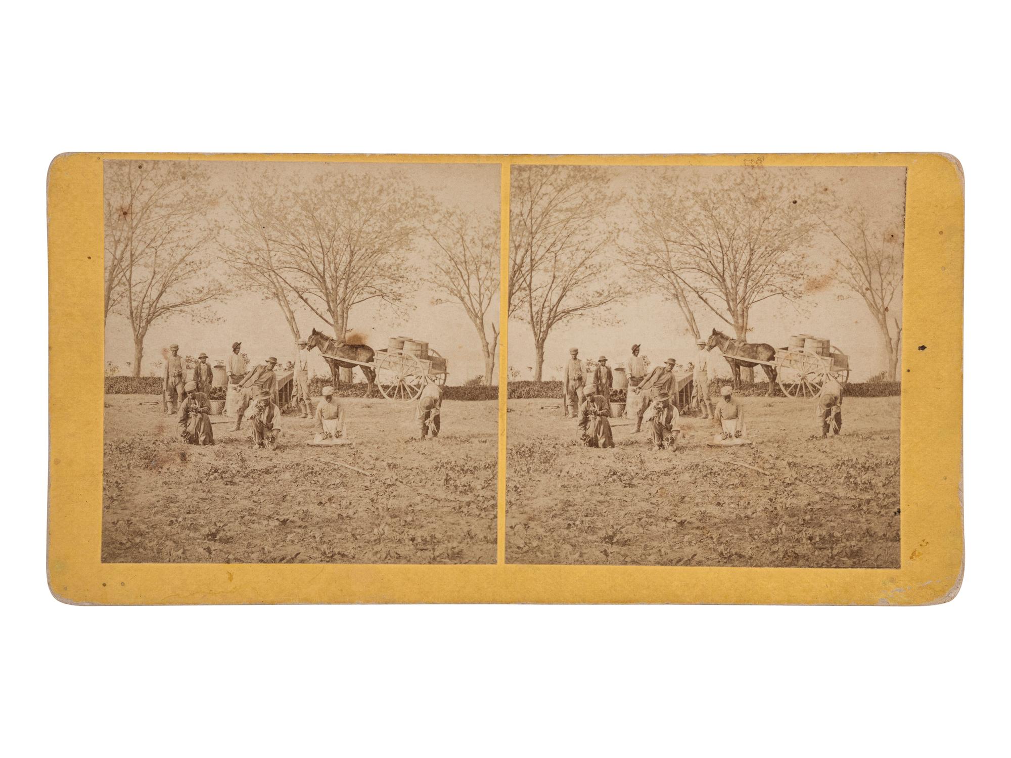 [AFRICAN AMERICANA - EARLY PHOTOGRAPHY]. Stereoview of a plantation.