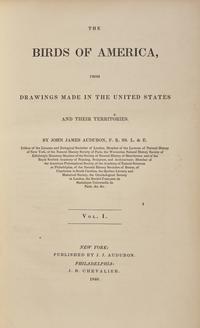 [Natural History] Audubon, John James. The Birds of America, From Drawings Made in the United States and Their Territories