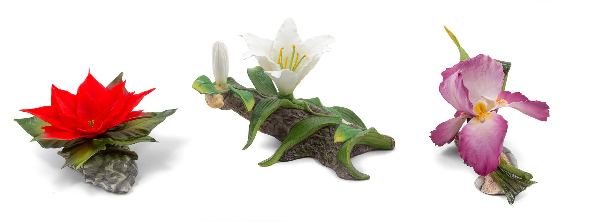 A Group of Three Boehm Porcelain Flowers