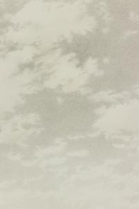 Sky (from Untitled Portfolio )