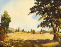 Landscape with Clearing