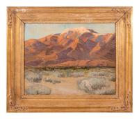 Evening in Desert