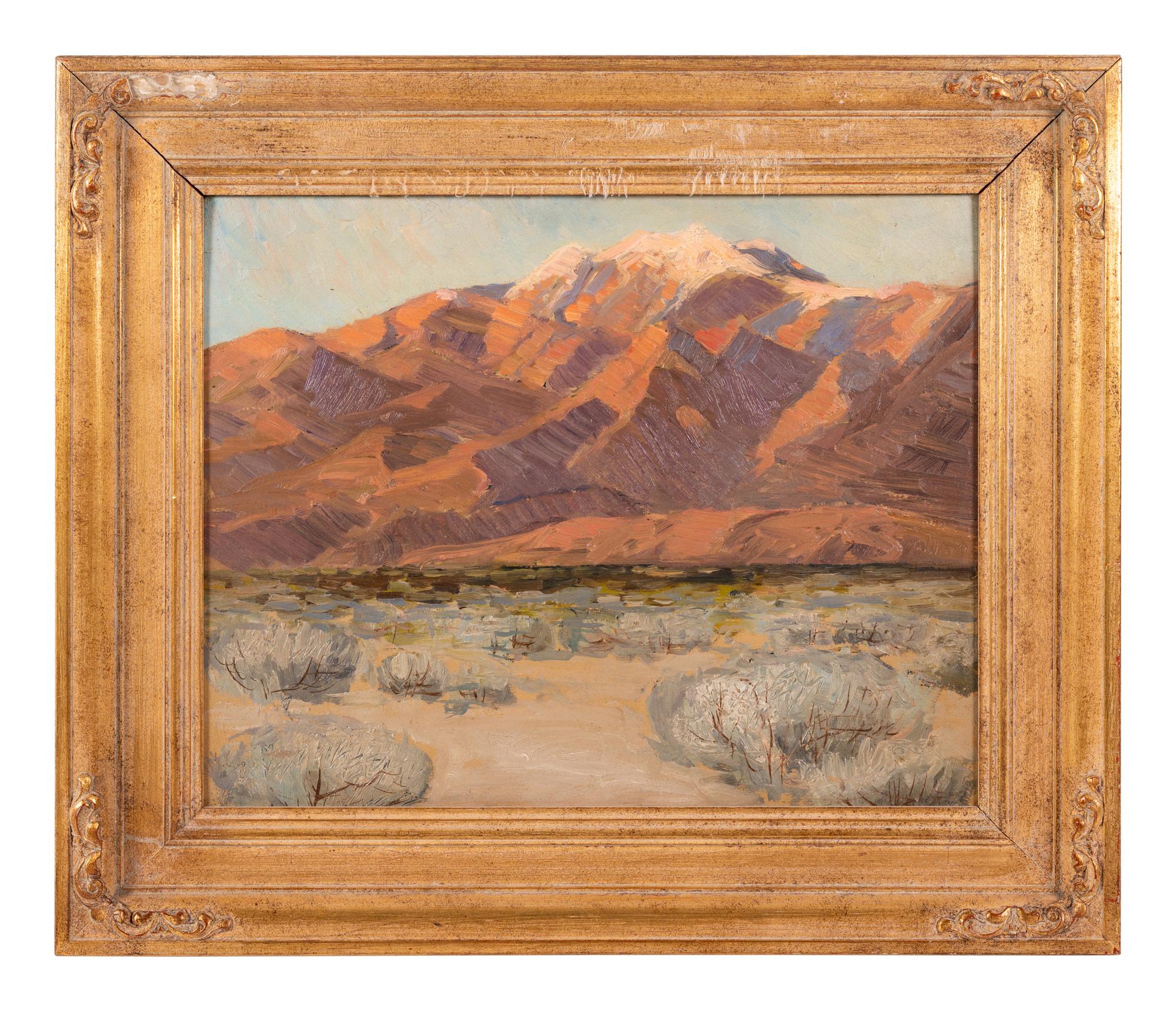 Evening in Desert