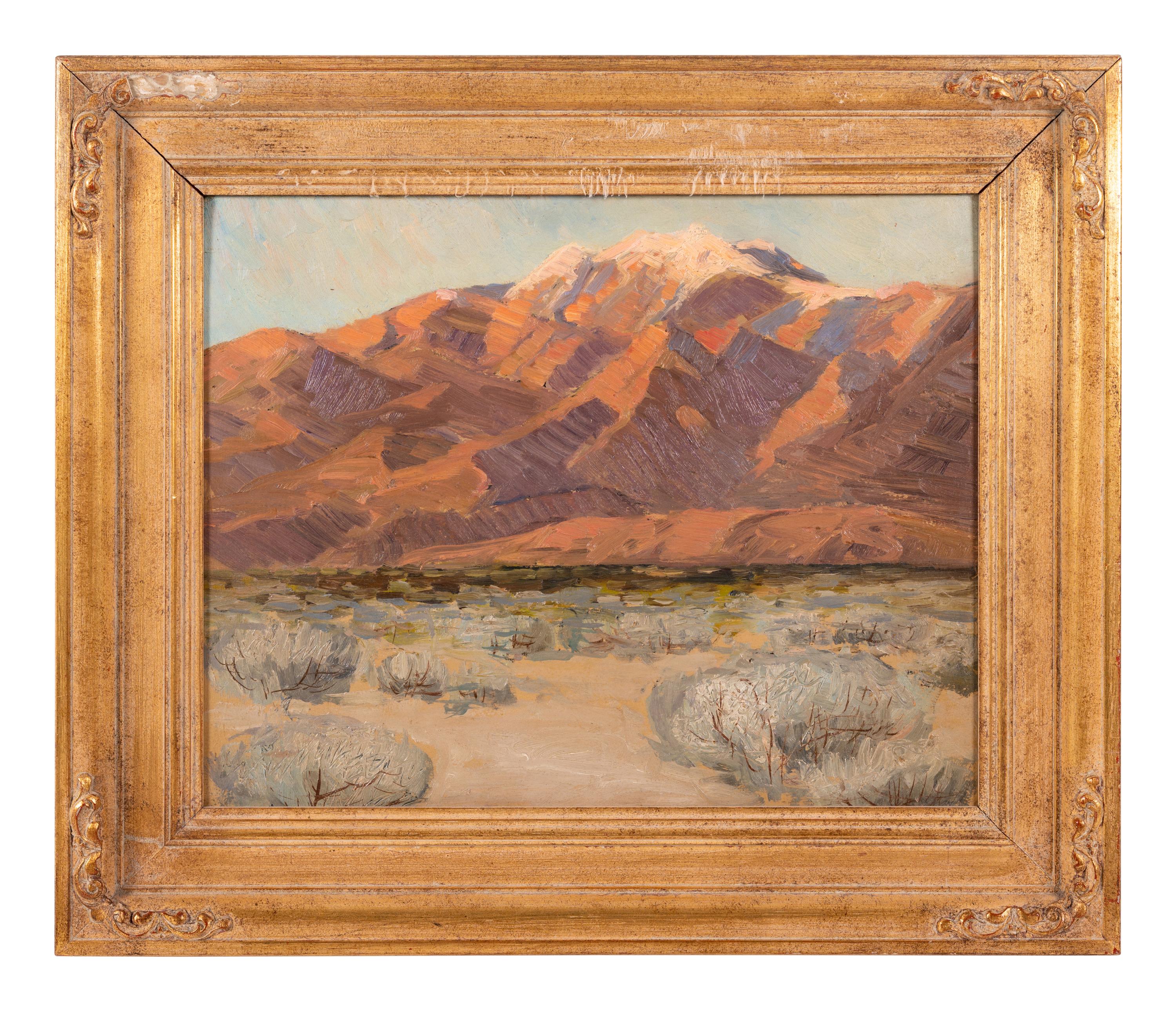 Evening in Desert