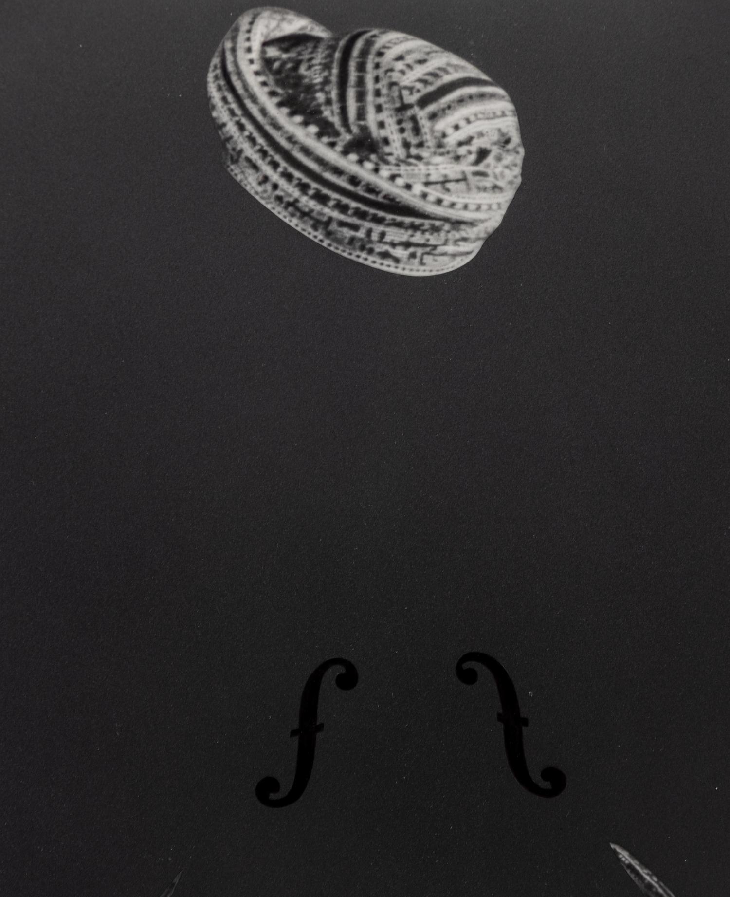 The Other Series: After Muybridge — 1990