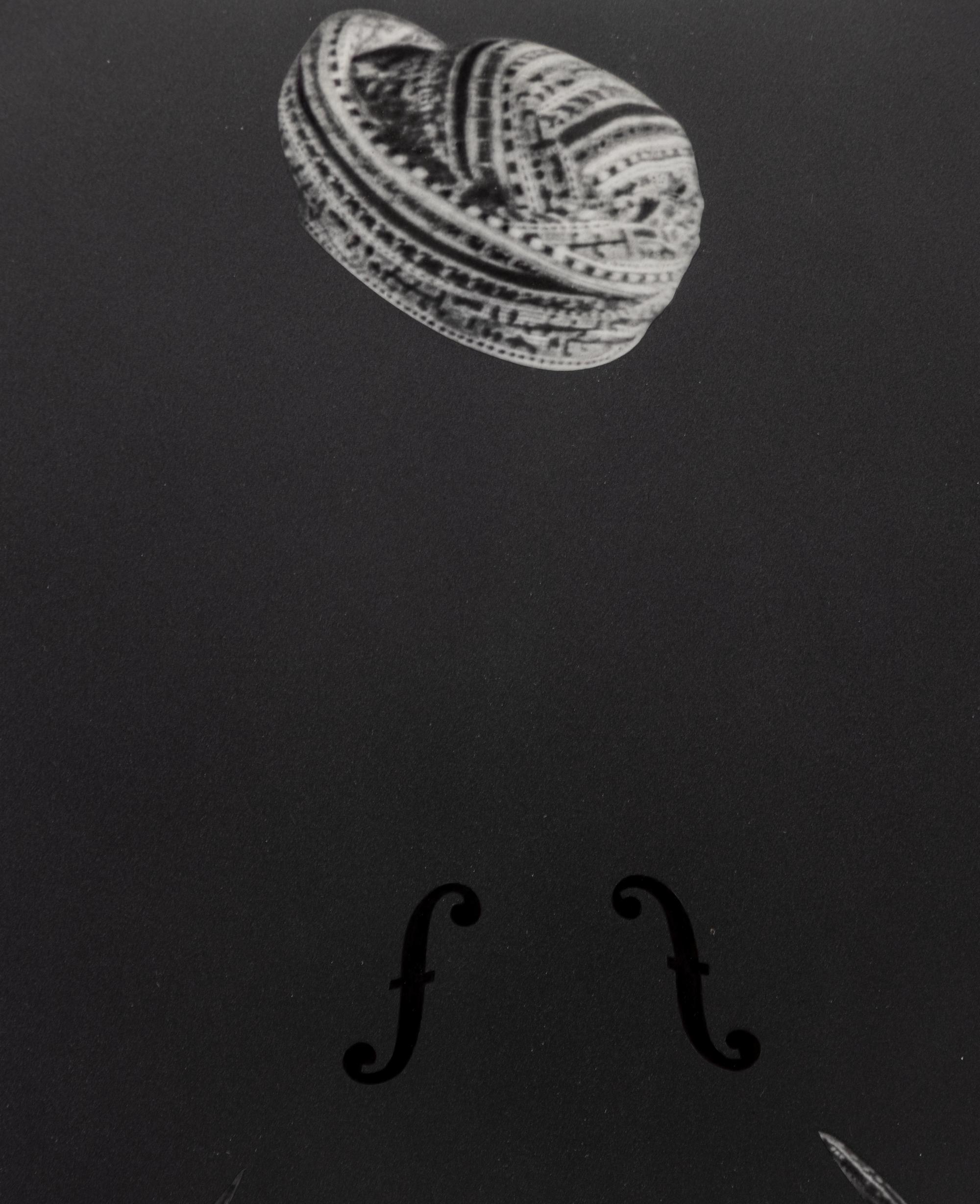 The Other Series: After Muybridge — 1990