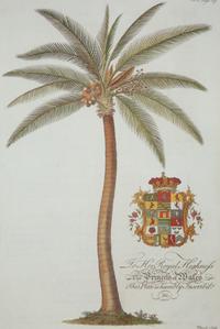 A Princess of Wales Royal Crest Palm Tree Print — 20TH CENTURY