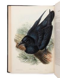 [NATURAL HISTORY]. GOULD, John (1804-1881). The Birds of Great Britain . London: Taylor and Francis, [1862-] 1873.