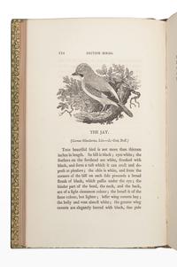 BEWICK, Thomas (1753-1828). A History of British Birds. Newcastle: Edward Walker, 1804.