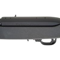 *Ruger 10/22