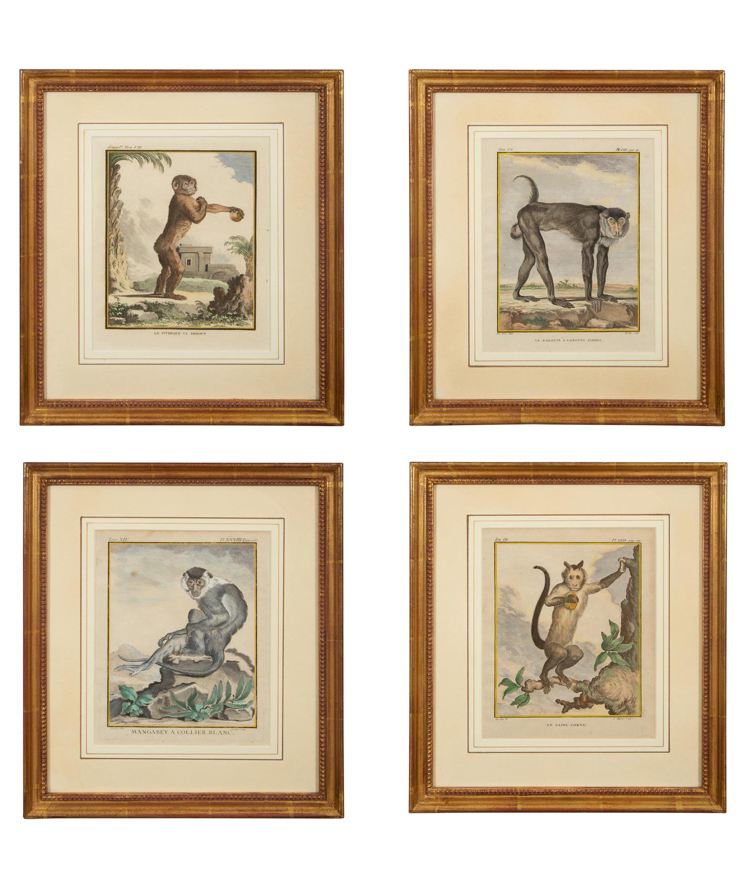 Four Framed Copper Plate Engravings from Le Comte de Buffon, Quadrupeds from Histoire Naturelle