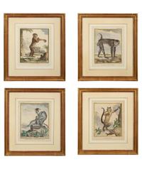 Four Framed Copper Plate Engravings from Le Comte de Buffon, Quadrupeds from Histoire Naturelle