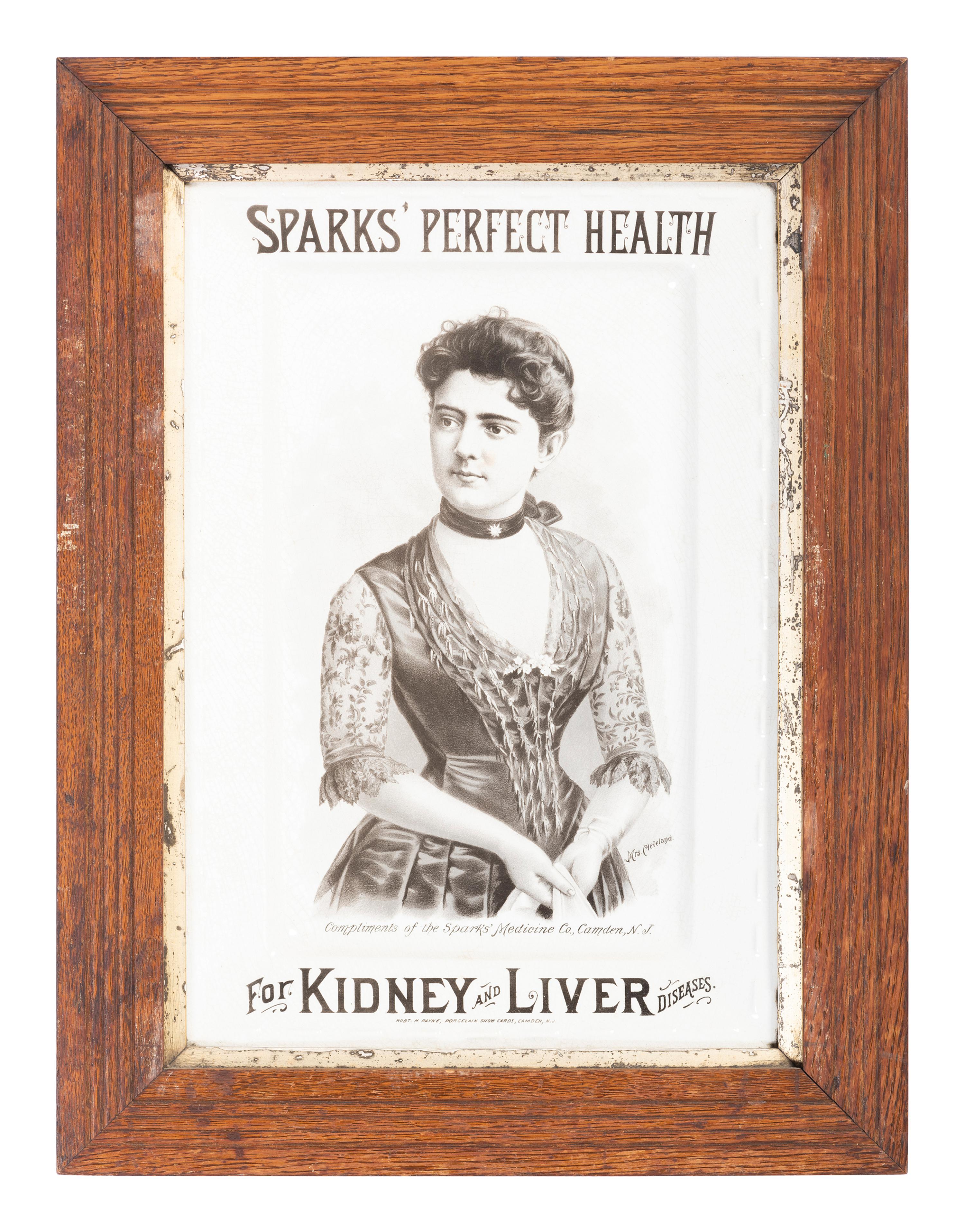 A Sparks' Perfect Health for Kidney and Liver Ironstone Advertising Platter