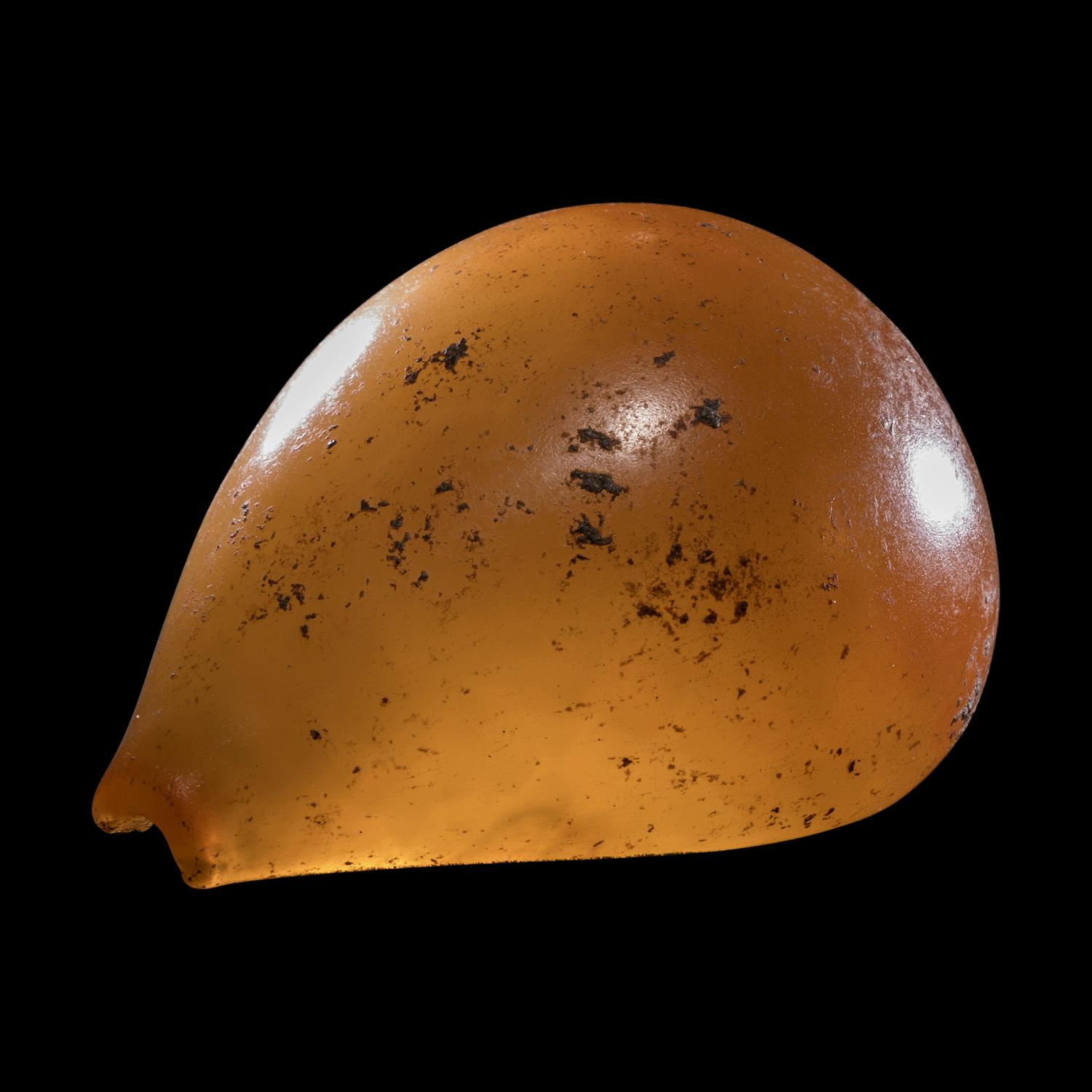 A Phoenician Agate or Carnelian Seashell