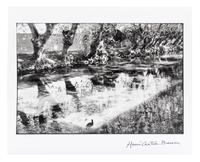 Henri Cartier-Bresson (1908-2004) L'Isle-sur-la-Sorgue, 1990