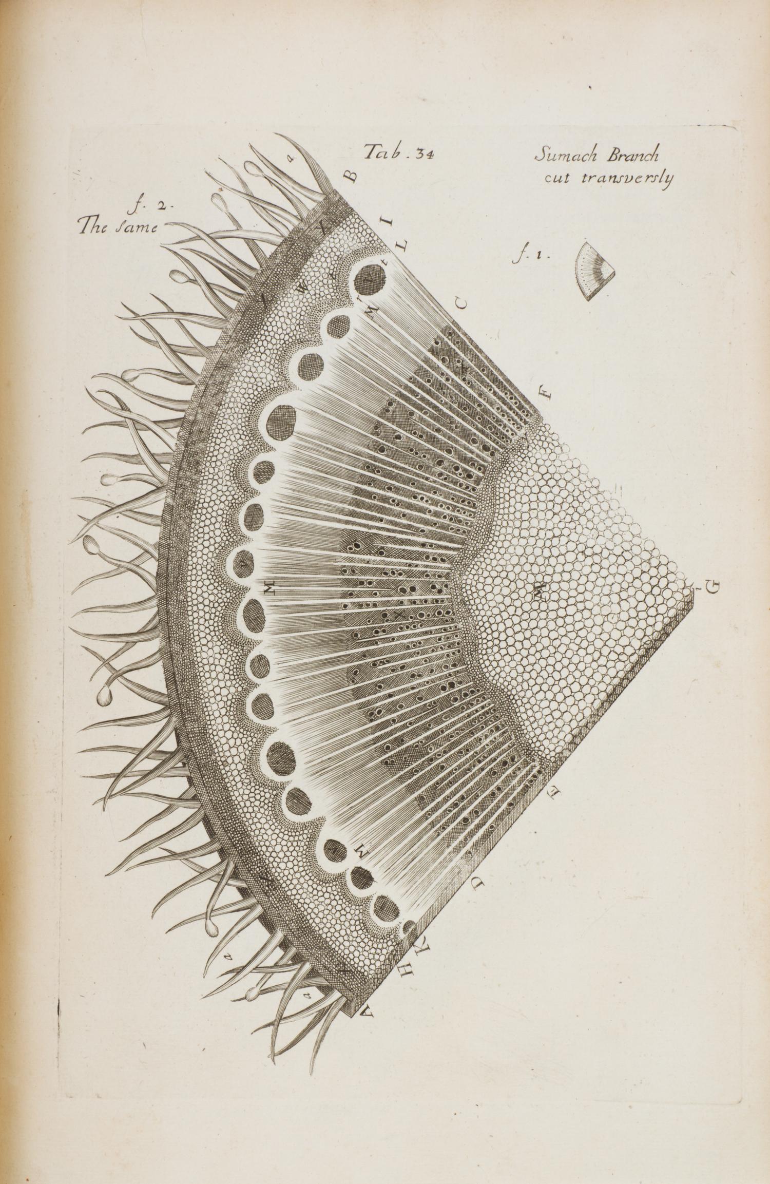 (BOTANY) GREW, NEHEMIAH. The Anatomy of Plants. London, 1682. First edition.