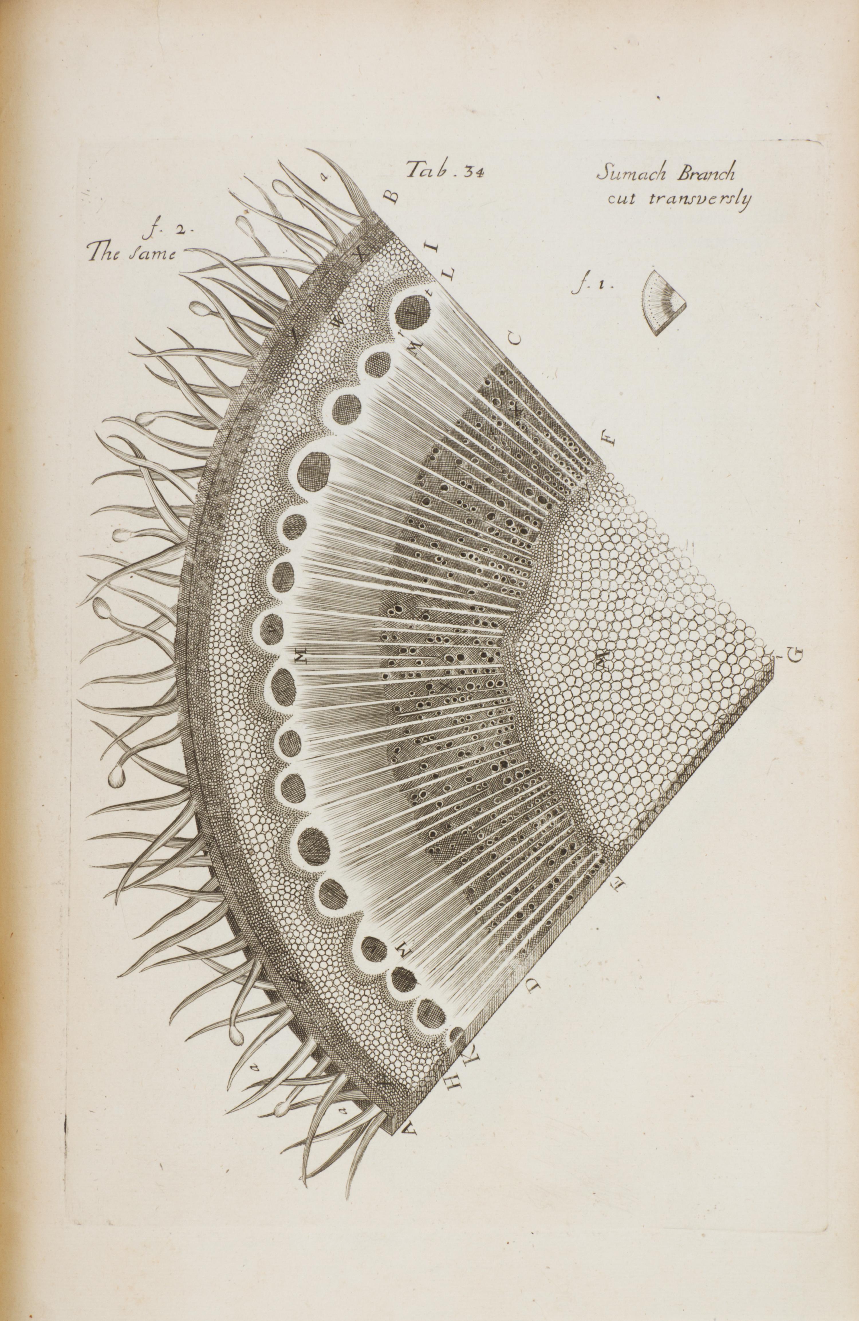 (BOTANY) GREW, NEHEMIAH. The Anatomy of Plants. London, 1682. First edition.