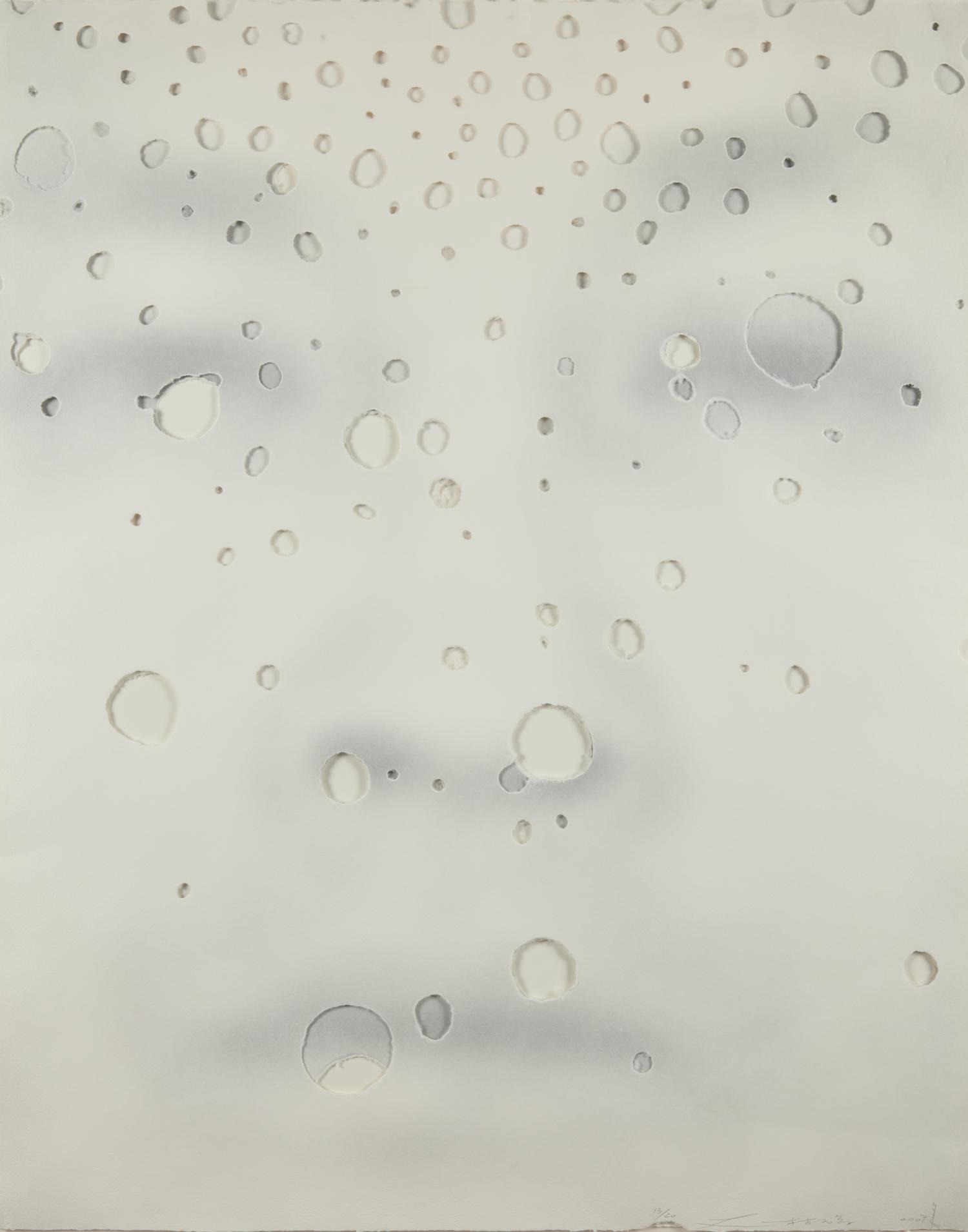 A pair of prints from Focus ( Focus IX A; Focus VI A ), 2007