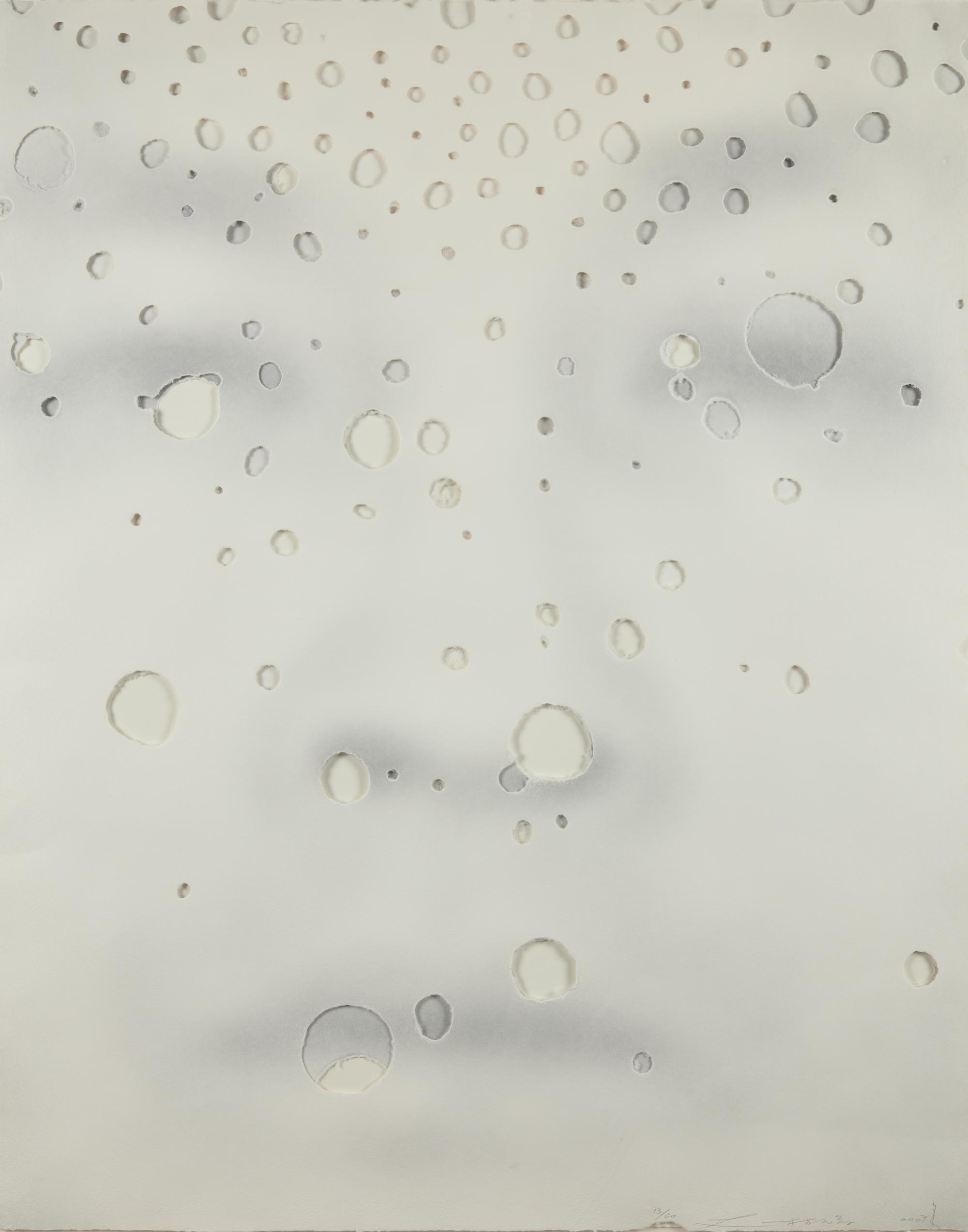 A pair of prints from Focus ( Focus IX A; Focus VI A ), 2007