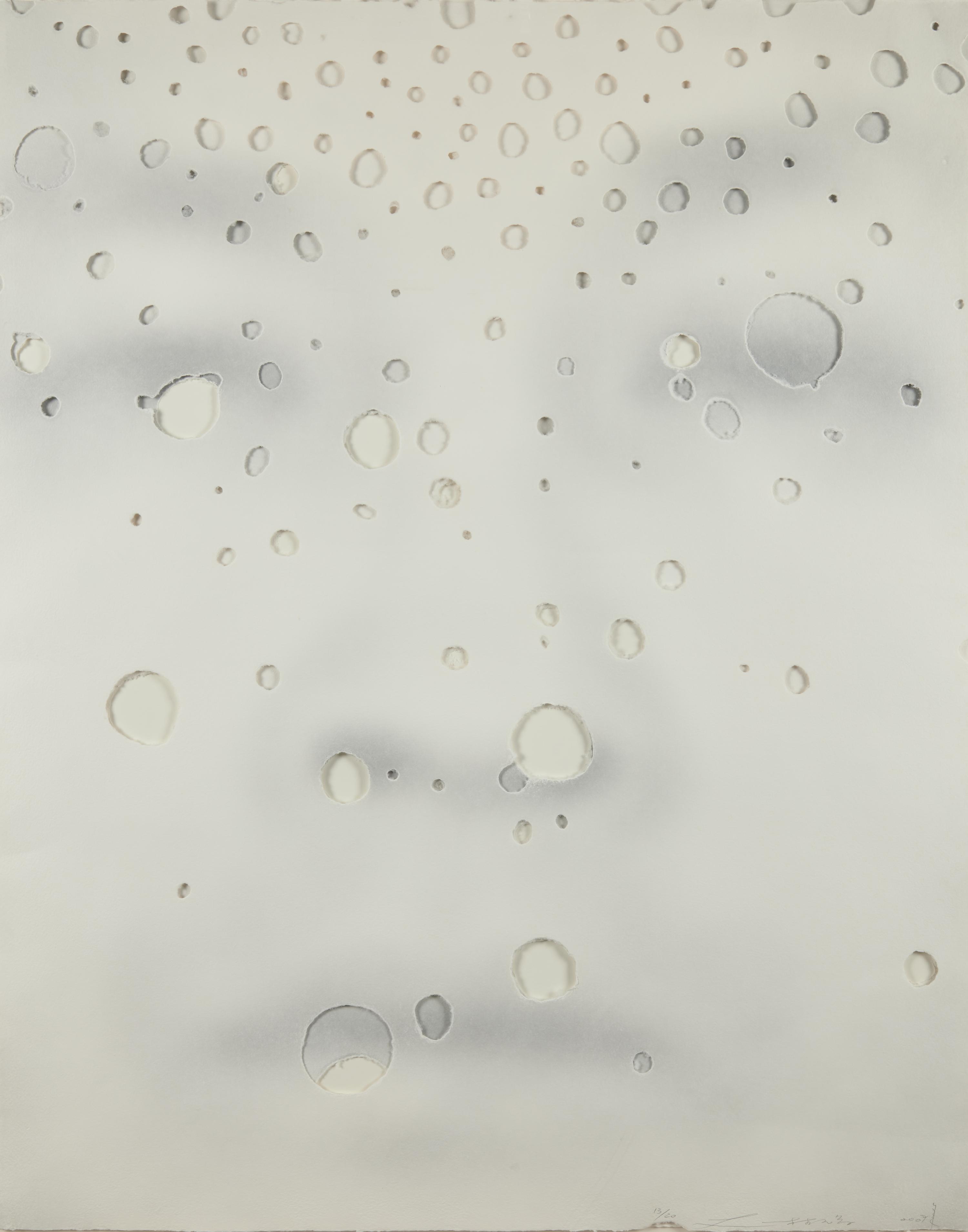 A pair of prints from Focus ( Focus IX A; Focus VI A ), 2007