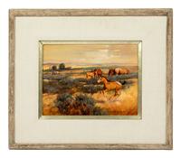 Colts in Pasture