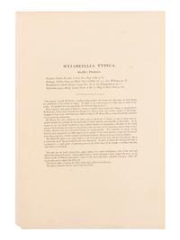[NATURAL HISTORY]. GOULD, John (1804-1881). A group of 33 folio size plates of various birds. London, 1833-1883.
