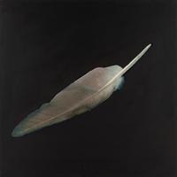 Feather