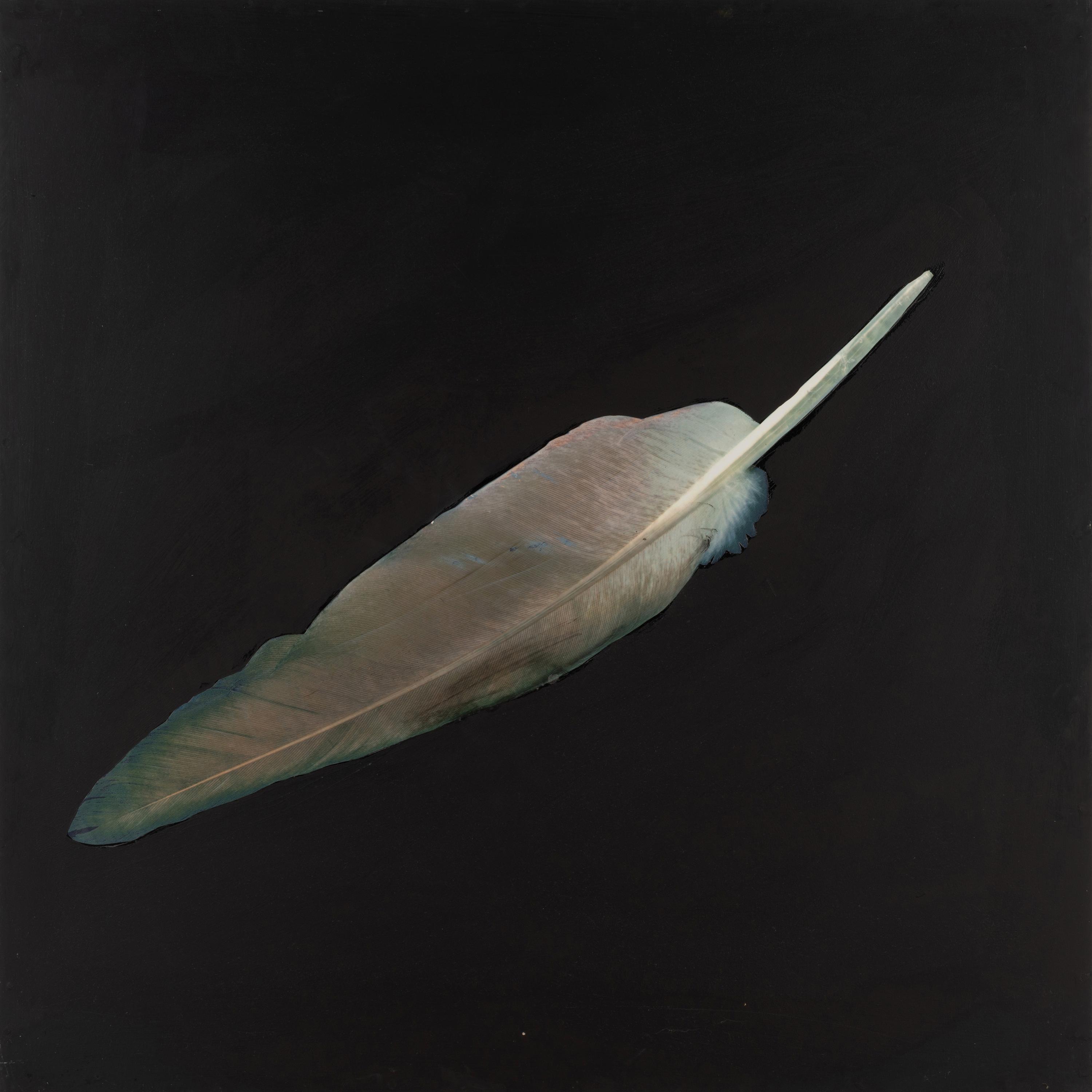 Feather